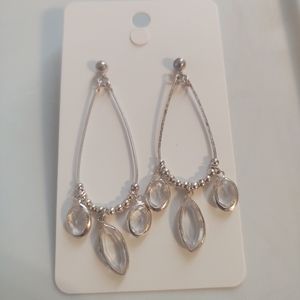 Silver jewel earrings
